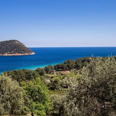 Aphrodite Holiday home *